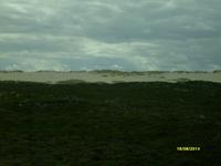 Wanderdünen auf der Insel Sylt