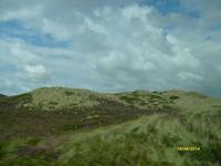 Heideflächen der Insel