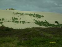Heideflächen + Wanderdünen