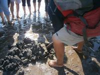 Auf der Suche nach dem 