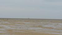 Blick Richtung Hallig Südfall (7km entfernt)