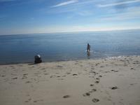 Insel Sylt-Ausflug mit Boy Erichsen-man kann noch Baden