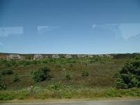 Sylter Landschaft