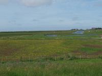 auf der Hallig