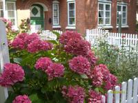 und viele Blumen