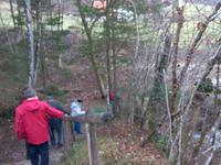 Wanderung zur Niederalm mit Manfred Schindler