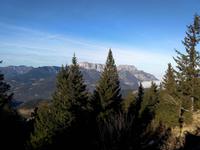 Roßfeldhöhenstraße