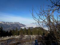 Roßfeldhöhenstraße