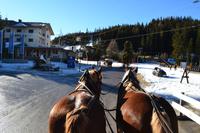 Los geht die Kutschfahrt!