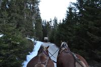 Kutschfahrt zur Pritzhütte