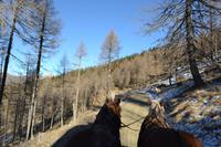 Kutschfahrt zurück zum Bus