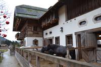 Weihnachtsbesuch auf Gut Aiderbichl