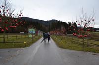 Weihnachtsbesuch auf Gut Aiderbichl