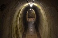 Besichtigung der Alten Saline