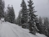 Predigtstuhl - Winterimpressionen