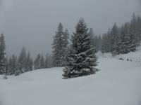 Predigtstuhl - Winterimpressionen