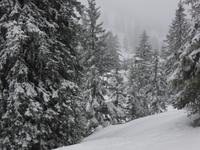 Predigtstuhl - Winterimpressionen