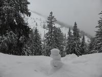 Predigtstuhl - Winterimpressionen