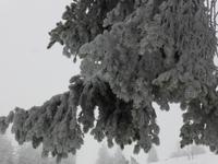 Predigtstuhl - Winterimpressionen