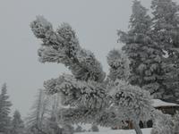 Predigtstuhl - Winterimpressionen