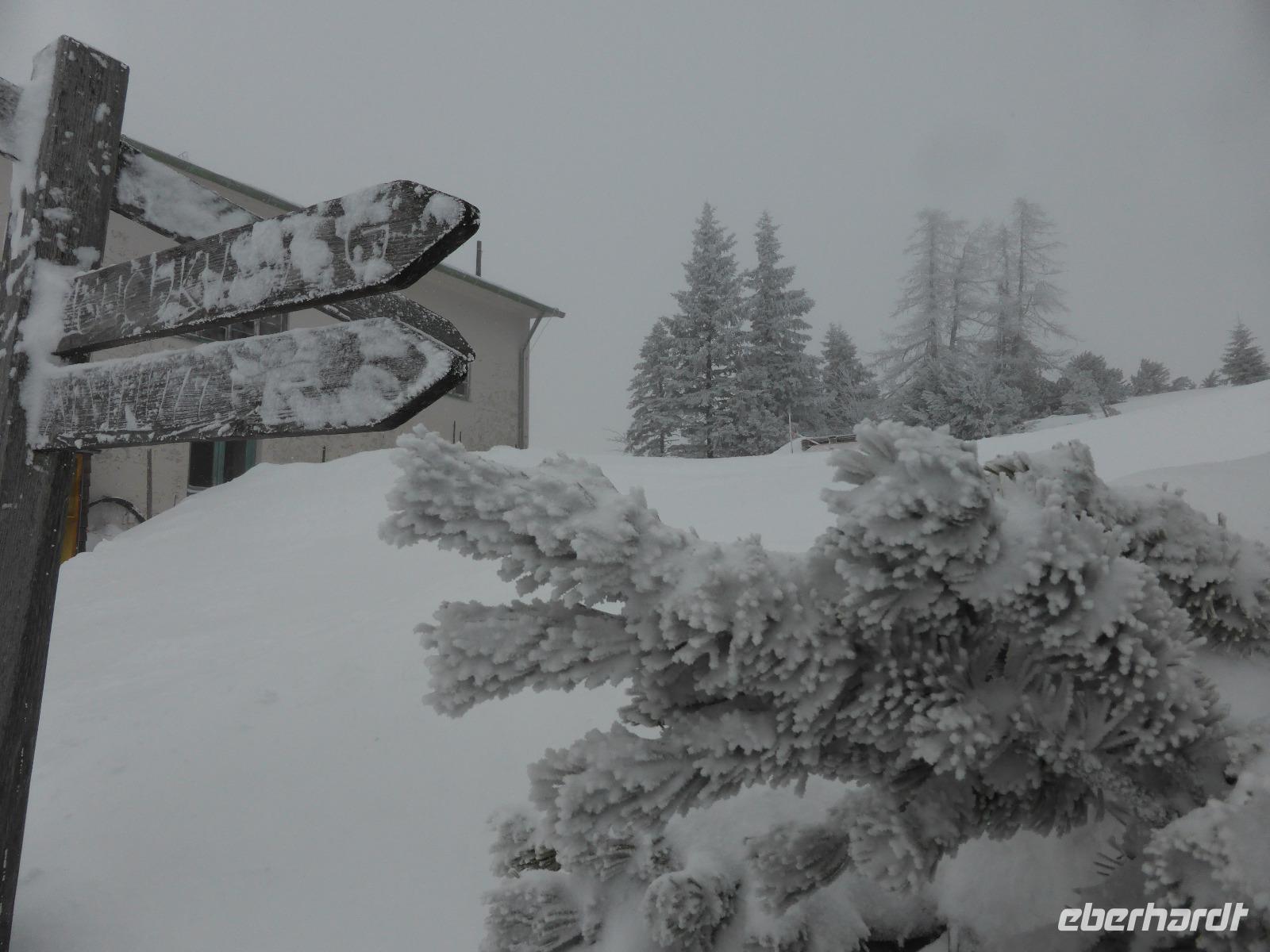 Predigtstuhl - Winterimpressionen