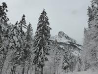 Kaiserbachtal - Winterimpressionen im Kaisergebirge