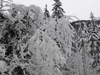Kaiserbachtal - Winterimpressionen im Kaisergebirge