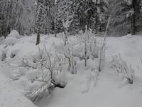 Kaiserbachtal - Winterimpressionen im Kaisergebirge