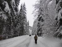 Kaiserbachtal - Winterimpressionen im Kaisergebirge