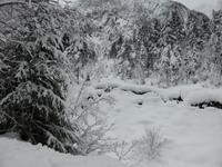 Kaiserbachtal - Winterimpressionen im Kaisergebirge