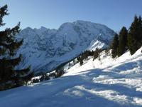 Roßfeldpanoramastrasse - Aussicht