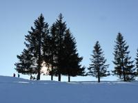 Roßfeldpanoramastrasse - Aussicht