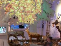 Berchtesgaden - Haus der Berge