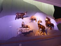 Berchtesgaden - Haus der Berge