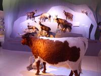 Berchtesgaden - Haus der Berge