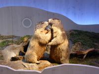 Berchtesgaden - Haus der Berge