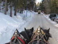 Katschberg - Pferdeschlittenfahrt