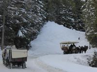 Katschberg - Pferdeschlittenfahrt