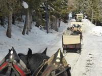 Katschberg - Pferdeschlittenfahrt