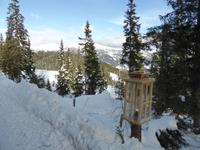 Katschberg - Pferdeschlittenfahrt zur Pritzhütte