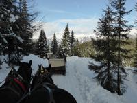 Katschberg - Pferdeschlittenfahrt zur Pritzhütte