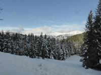 Katschberg - Pferdeschlittenfahrt