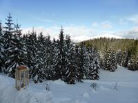 Katschberg - Pferdeschlittenfahrt