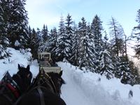 Katschberg - Pferdeschlittenfahrt