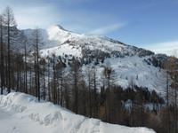 Katschberg - Pferdeschlittenfahrt