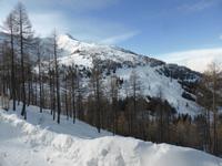 Katschberg - Pferdeschlittenfahrt