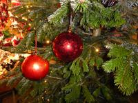 Hellbrunn Weihnachtszauber