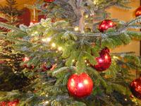 Hellbrunn Weihnachtszauber