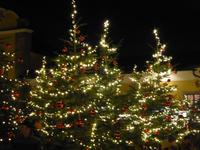 Hellbrunn Weihnachtszauber