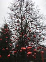 Adventszauber am Schloss Hellbrunn